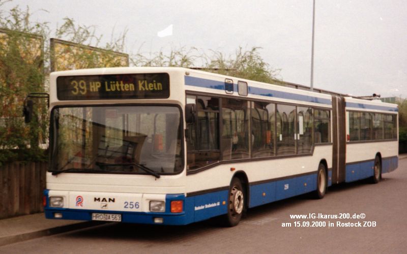 256